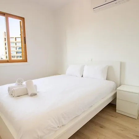 公寓 Flat In Nicosia's Centre 尼科西亚